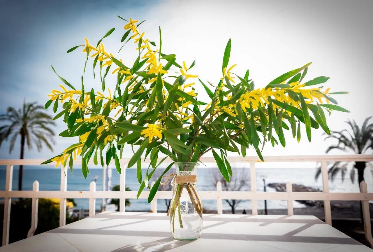 ***  Hotel Et Appartements Reine D'Azur Roquebrune-Cap-Martin Franciaország