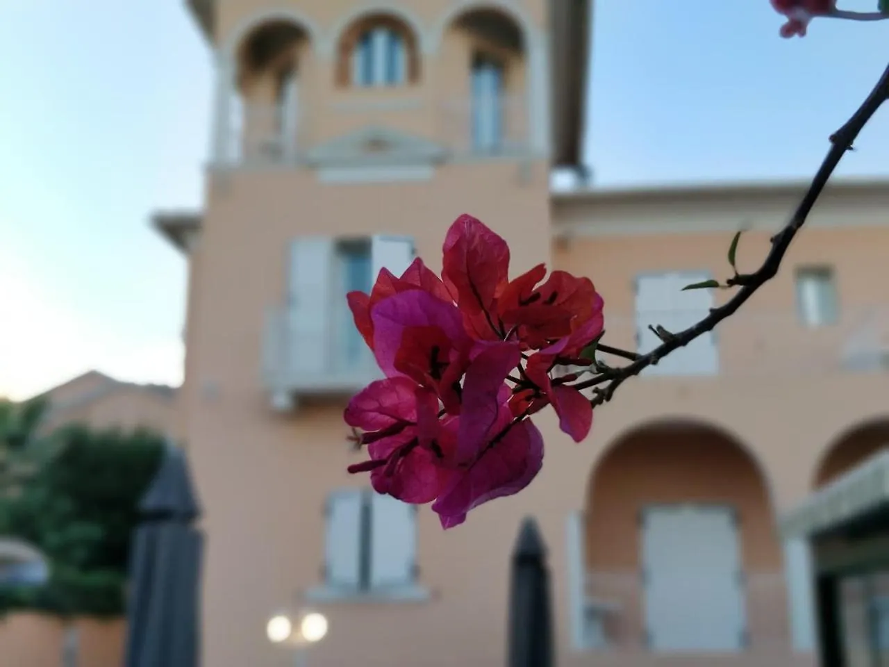 Hotel Et Appartements Reine D'Azur Roquebrune-Cap-Martin