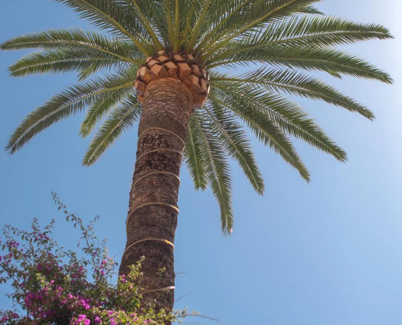 Hotel Et Appartements Reine D'Azur Roquebrune-Cap-Martin France